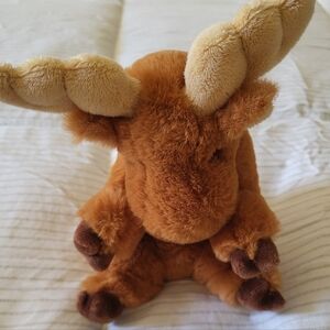 Douglas Brand MOOSE